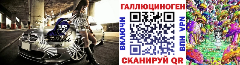 где продают   Аркадак  Псилоцибиновые грибы Psilocybe 